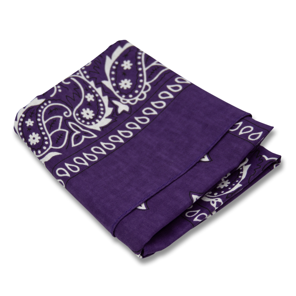 Paisley Bandanas PB2001 Purple (DZ)